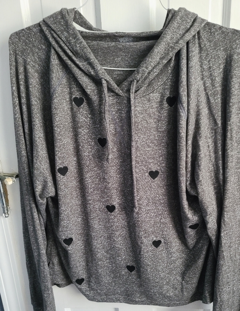 PINK by VS Hoodie